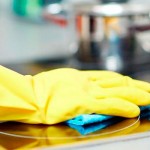 hogares empresa limpieza limpiezas jovellanos